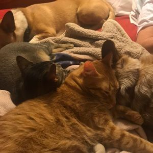 Meet your Posher, Teresa